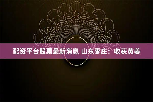 配资平台股票最新消息 山东枣庄：收获黄姜