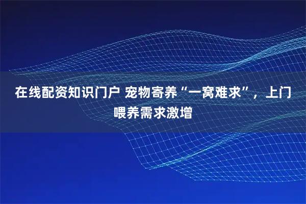 在线配资知识门户 宠物寄养“一窝难求”，上门喂养需求激增